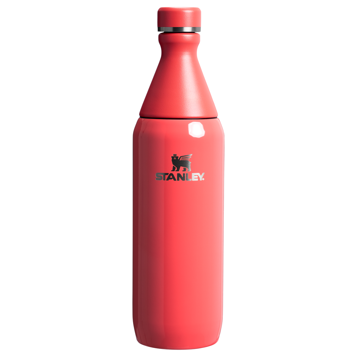 All Day Slim Bottle | 20 OZ - Stanley Create