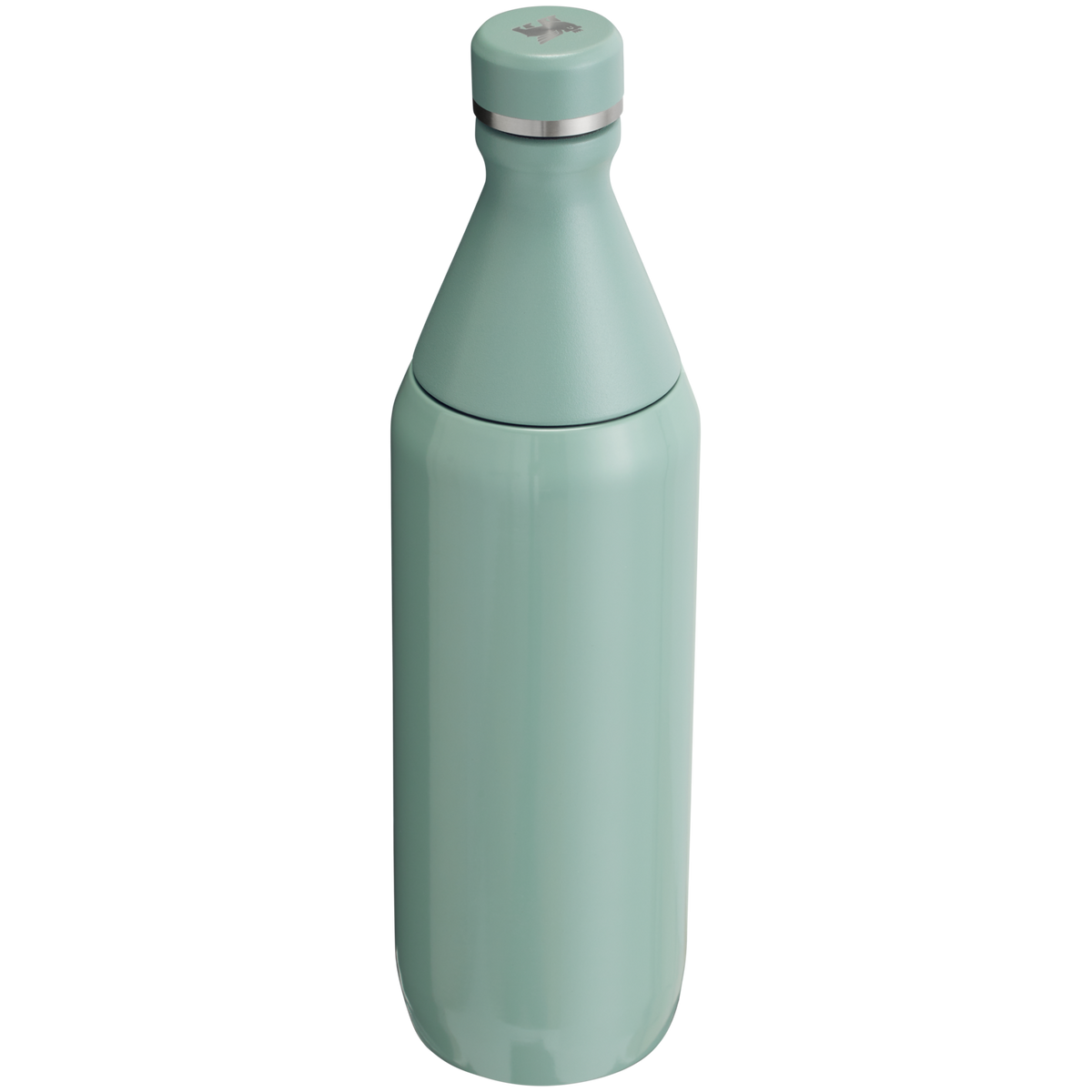 All Day Slim Bottle | 20 OZ - Stanley Create